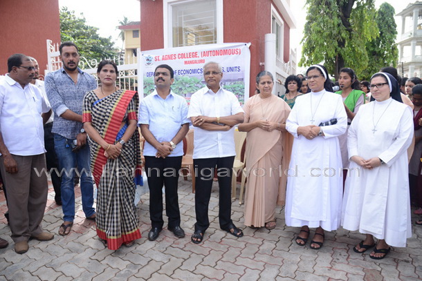 Salumara_thimmakka_ (19)