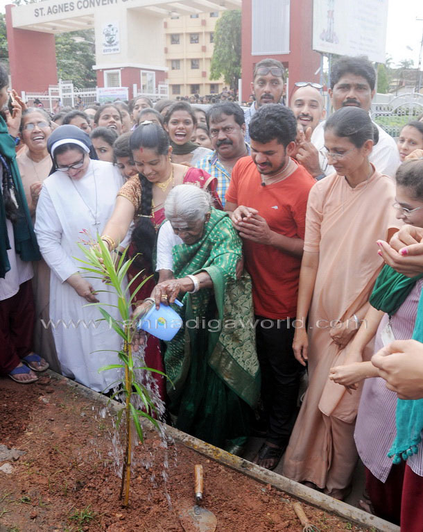 Salumara_thimmakka_ (2)