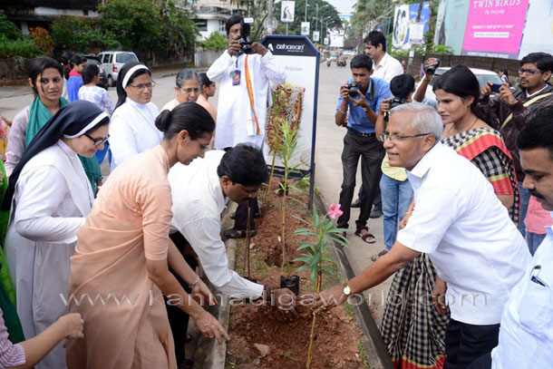 Salumara_thimmakka_ (24)