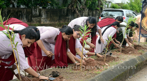 Salumara_thimmakka_ (26)