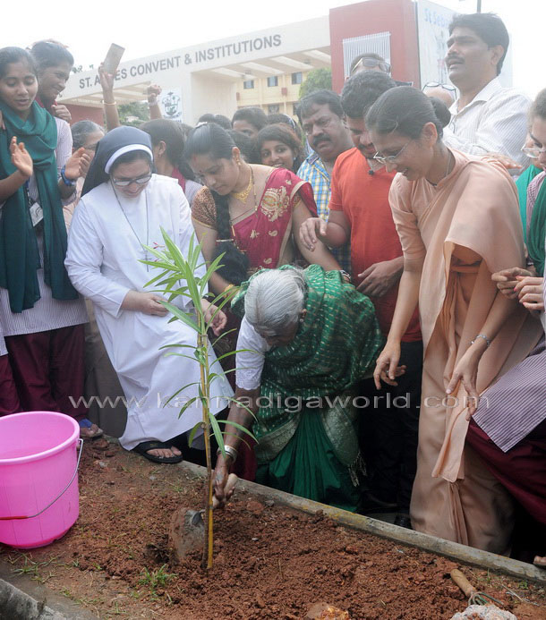 Salumara_thimmakka_ (5)