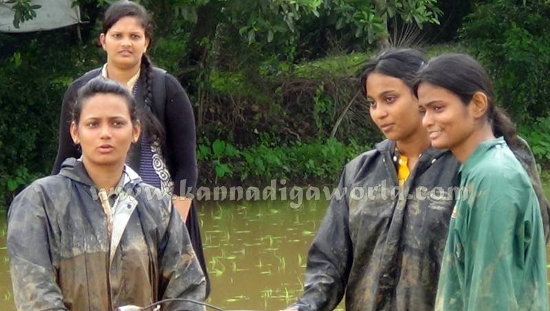 Udupi_Udyavara_agriculture (6)