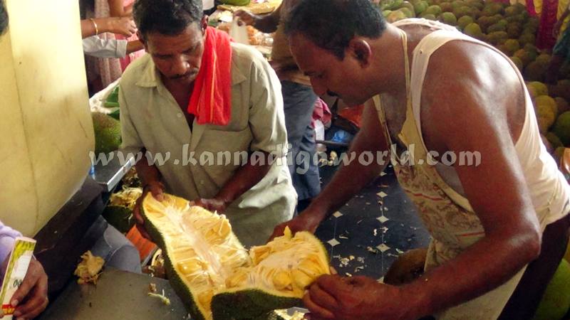 Udupi_halasina Mela_2016 (3)