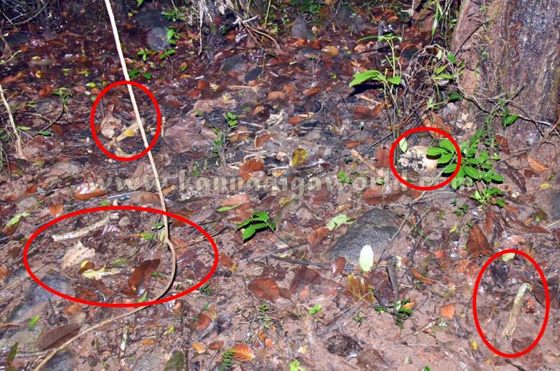 Vandaru_Missing_Case (1)