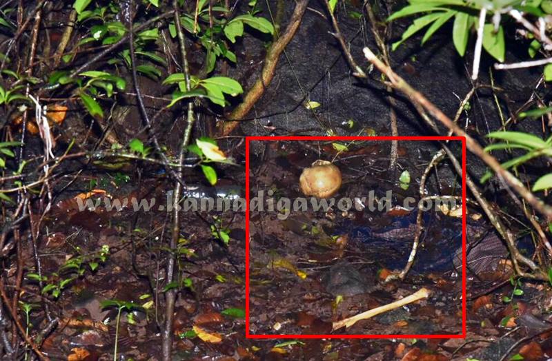 Vandaru_Missing_Case (2)