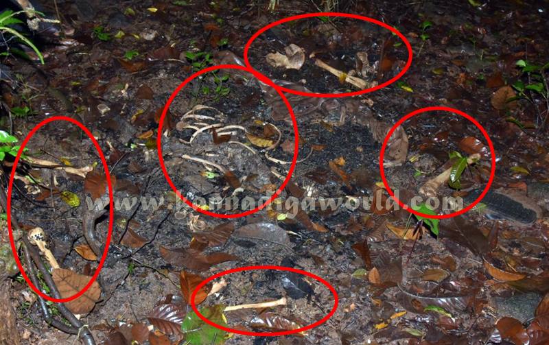 Vandaru_Missing_Case (3)