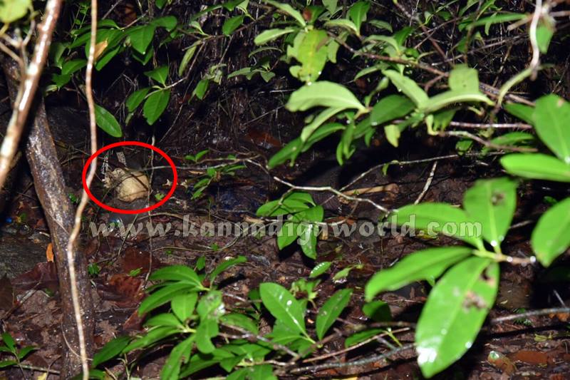 Vandaru_Missing_Case (4)