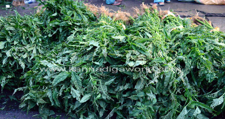 Astami_Market_Photo_6