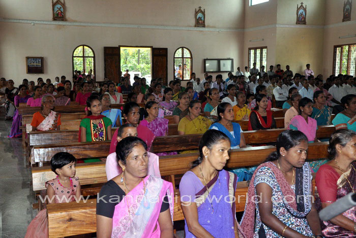 Lobo_visit_peruvayi_7