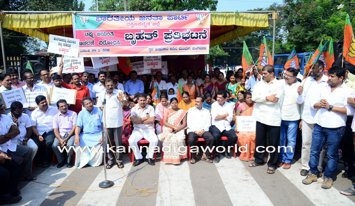 bjp_protest_tippu_1